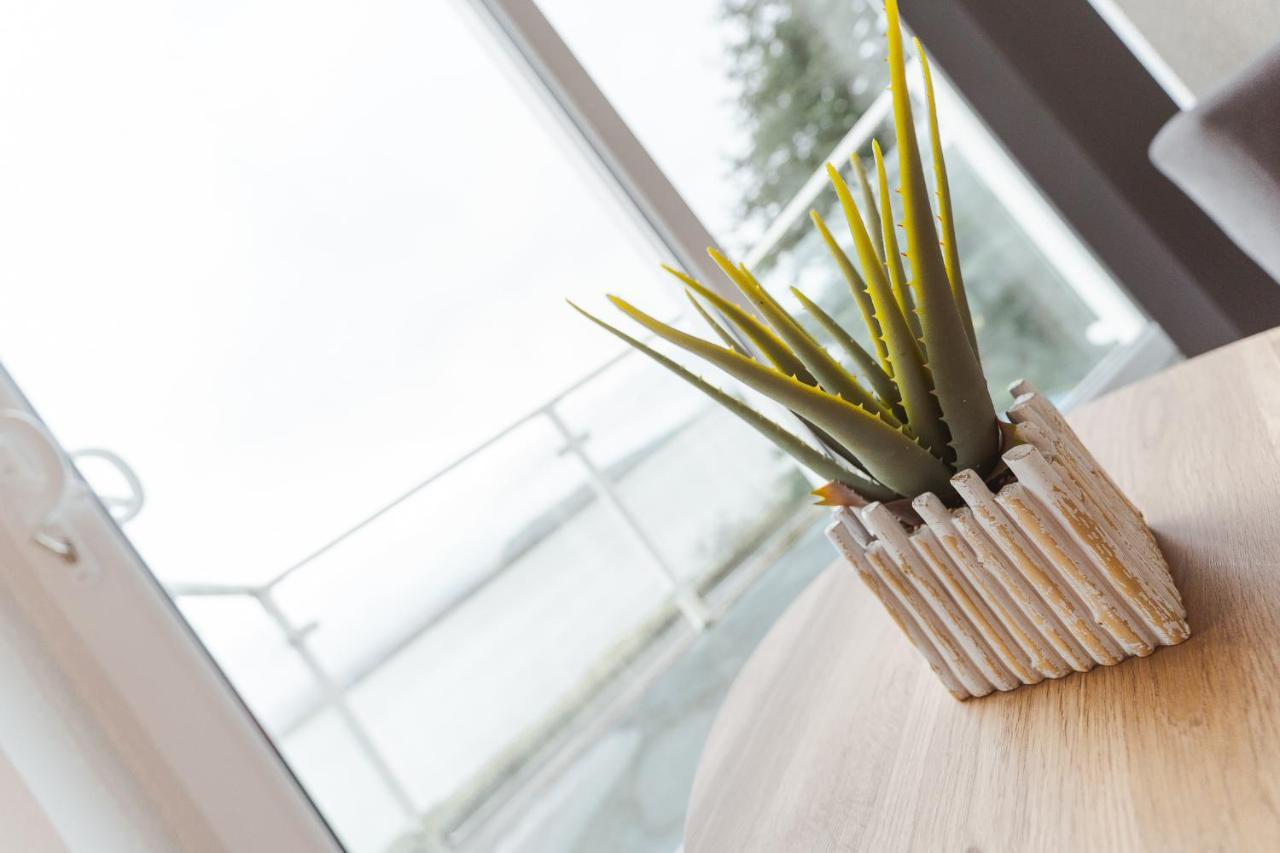 Watersedge Retreat, Views, Sunsets, Dogs Welcome Sandside  Exteriör bild